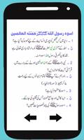 Islamiyat Knowledge Book captura de pantalla 2