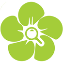 InfoFlowers APK