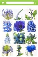 InfoFlowers اسکرین شاٹ 1