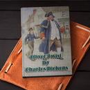 Oliver Twist :English Novel APK