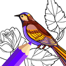 Birds Coloring Book APK