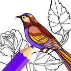 Icona Birds Coloring Book