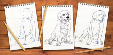 How To Draw Dogs