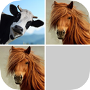 Guess Farm Animal Pair APK