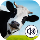 Farm Animals Sound Bingo icône