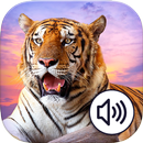 Zoo Animals Sound Bingo APK