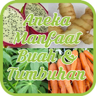 Aneka Manfaat Buah & Tumbuhan icon