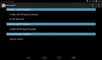 WhatsMyIP for Android capture d'écran 2
