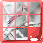 Bird Puzzle Jigsaw Game 圖標