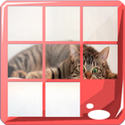 Cat Puzzle Jigsaw Game アイコン