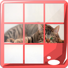 Cat Puzzle Jigsaw Game Zeichen