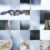 Cat Puzzle Jigsaw Game capture d'écran 1