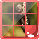 Monkey Puzzle Jigsaw Game-APK