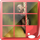 Monkey Puzzle Jigsaw Game icône