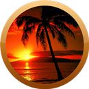 Hawaii Photos et vidéos APK