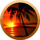 Hawaje Zdjęcia i filmy aplikacja