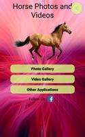 Photos et vidéos de chevaux Affiche