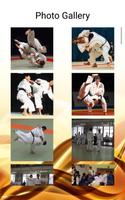 Judo screenshot 2