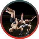 Wrestling APK