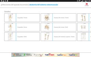 Mini Atlas Musculo Esquelético capture d'écran 1