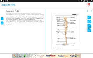 Mini Atlas Musculo Esquelético screenshot 2