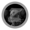Infestation The NewZ Time APK