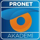 Pronet Akademi simgesi