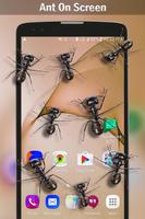 Ant on screen 스크린샷 3