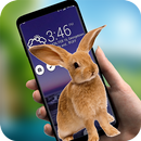 Rabbit on screen APK