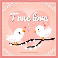 Love Cards & Letters 截圖 3