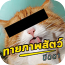 ทายชื่อสัตว์ ปิดตา APK