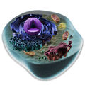 Cell Life