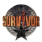 Super Dungeon Survivor icon