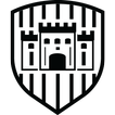 Toon Castle
