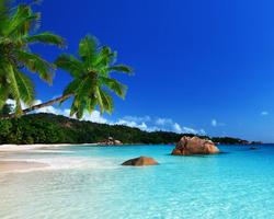 برنامه‌نما Caribbean Sea Wallpapers عکس از صفحه