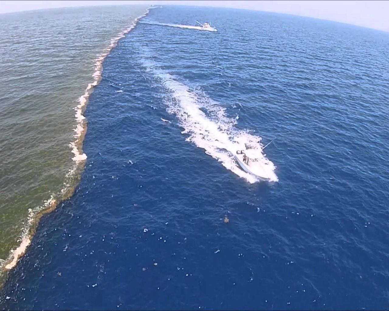 Реки которые несут свои воды в атлантический океан