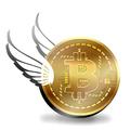 Bitcoin Dunk