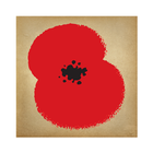 Somme 100 icon