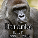 Harambe APK