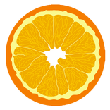 OrangeApp : Digital diary for School & College