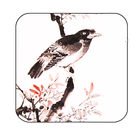 inkwash flower&bird wallpaper icône