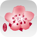 China Airlines VR 360 APK