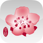 China Airlines VR 360 icon