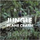 Jungle Plane Crash aplikacja