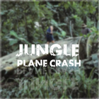 Jungle Plane Crash 아이콘
