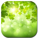 Summer nature APK