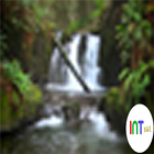 Nature Streamflow icône