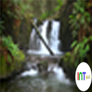 Nature Streamflow APK