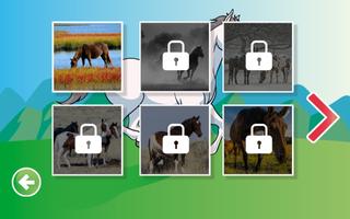Puzzles of Wild Horses capture d'écran 1