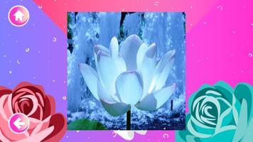 Rompecabezas de Flores screenshot 3